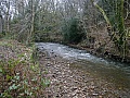 the river